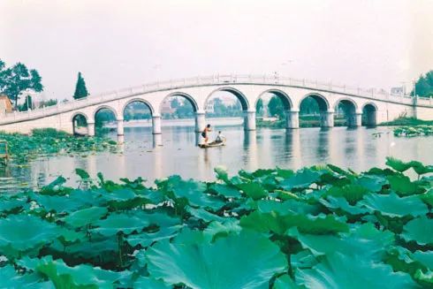 惊呆了 湖北各地土豪的过年请客菜单曝光 看到孝感简直忍不了