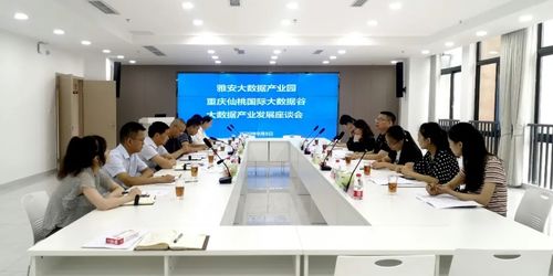 雅安重庆大数据 联姻 打造成渝地区大数据合作示范样本