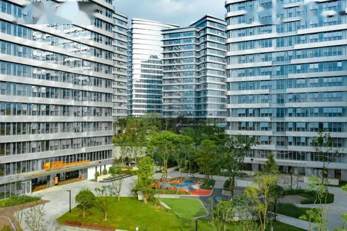 龙湖冠寓五周年 焕新租住生活,更懂城市青年