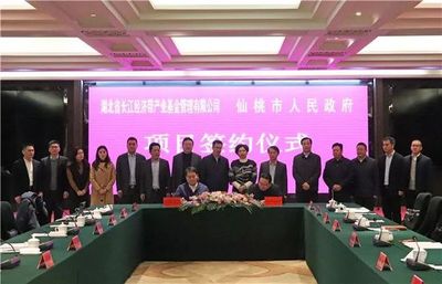 好消息!仙桃将建小米产业园,还获10个亿引导资金用来&hellip;