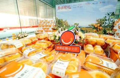 红橙进京 廉江市与京东集团战略合作协议正式启动