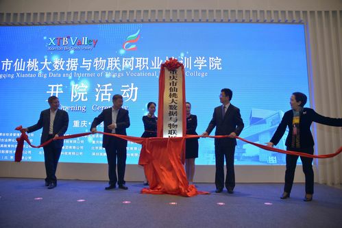 仙桃大数据学院正式开院,助推重庆新兴产业发展