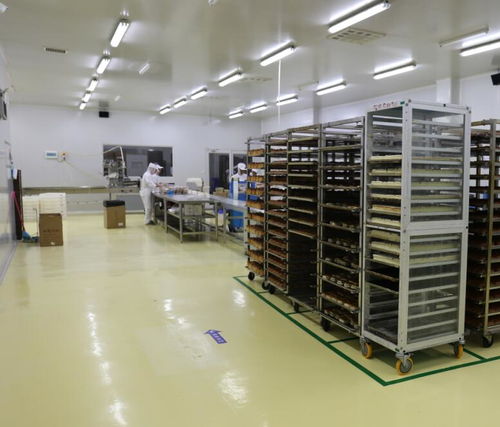 遵义南部新区西域美之味加工厂